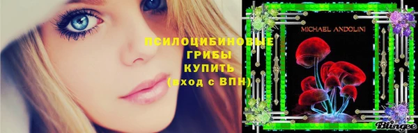 прущие крисы Абинск