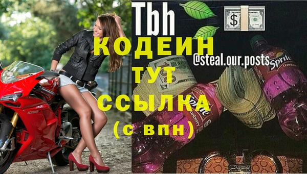дурь Алексин