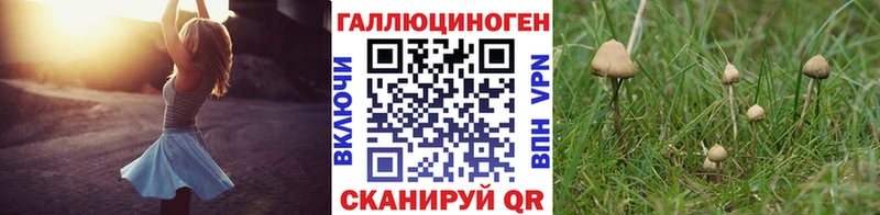 blacksprut вход  Нерехта  Псилоцибиновые грибы MAGIC MUSHROOMS 